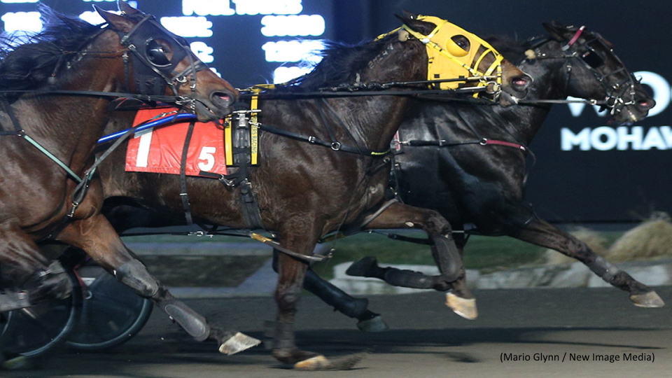 Pikachu Hanover Drops And Pops At Mohawk Park