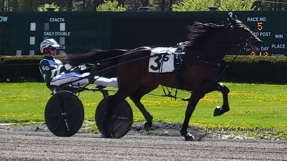 Pretender Profound In Freehold Prep