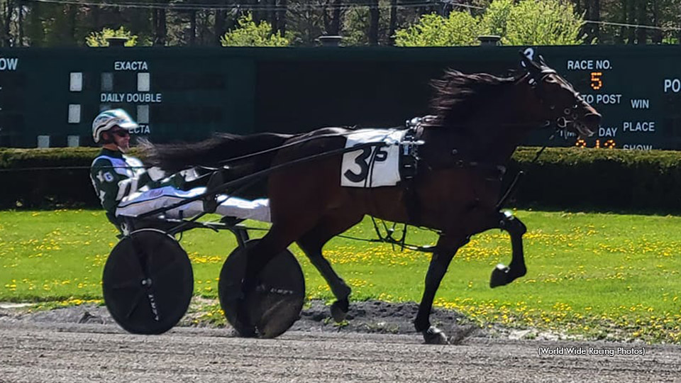 Dexter Cup Attracts Eight Sophomore Trotters