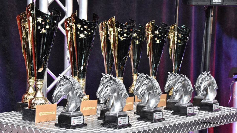 Quebec Champions Honoured