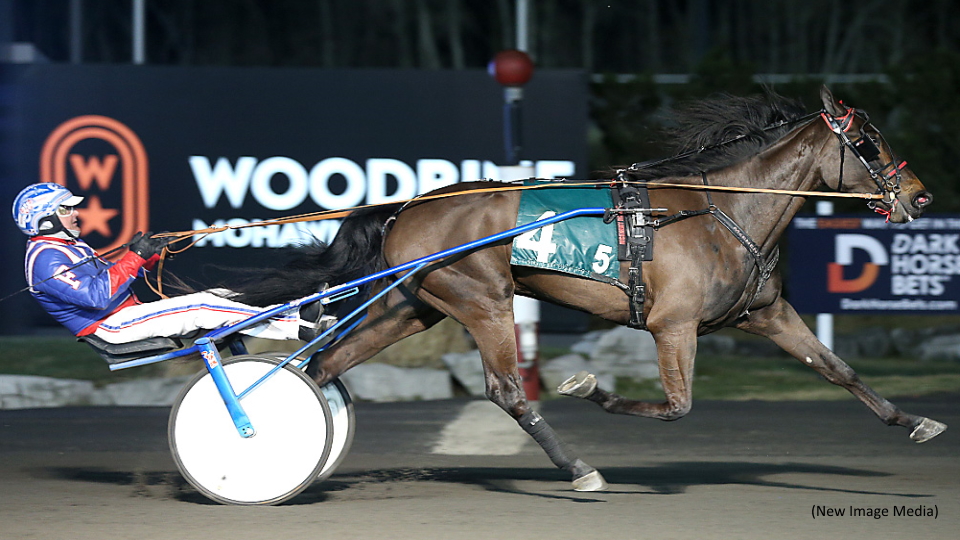 Samosa The Nation’s Speediest Sophomore