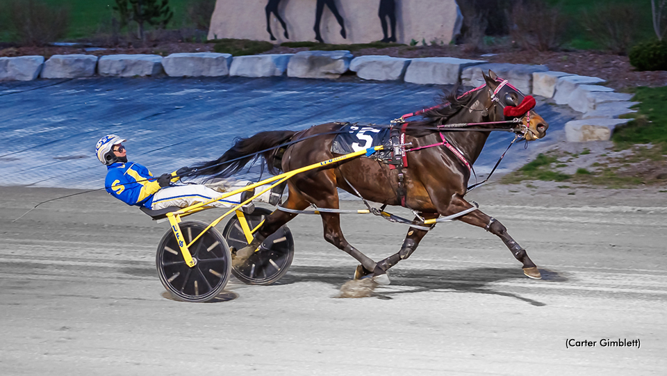 Saulsbrook Jessie Strolls In London