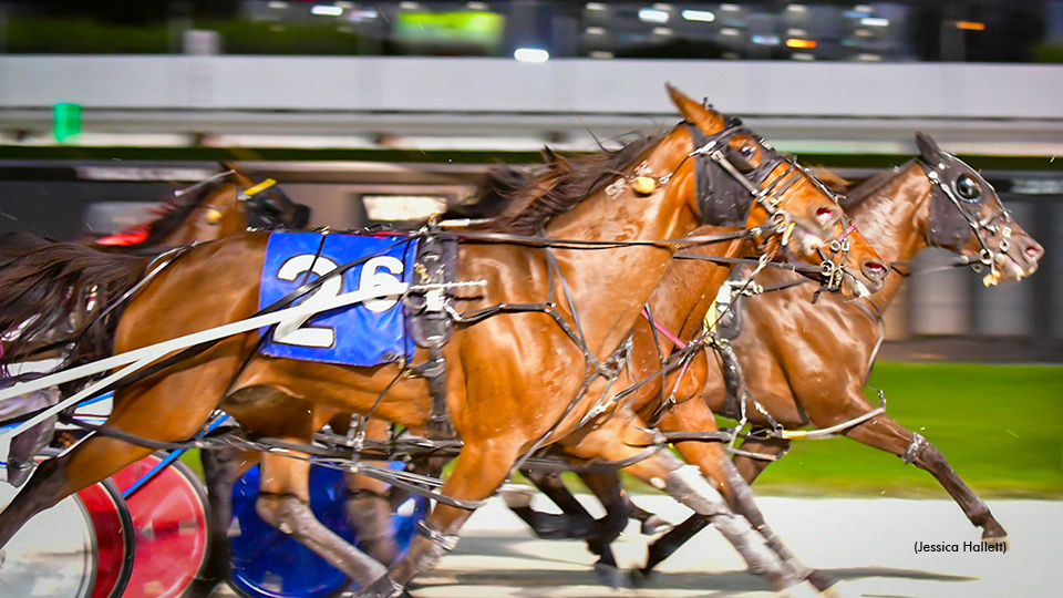 Sea Shadows Scores Another Open Victory