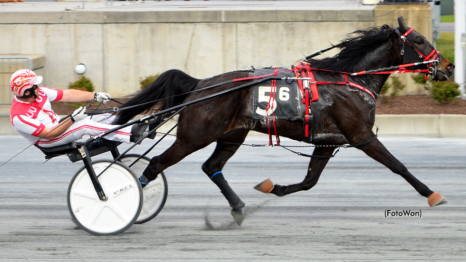 Davis Wins Seven At Harrington