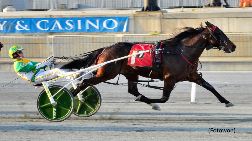 Shoobee Doo A Scores In Harrington Open