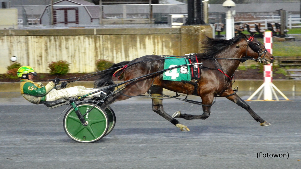 Deja Vu For Shoobee Doo A