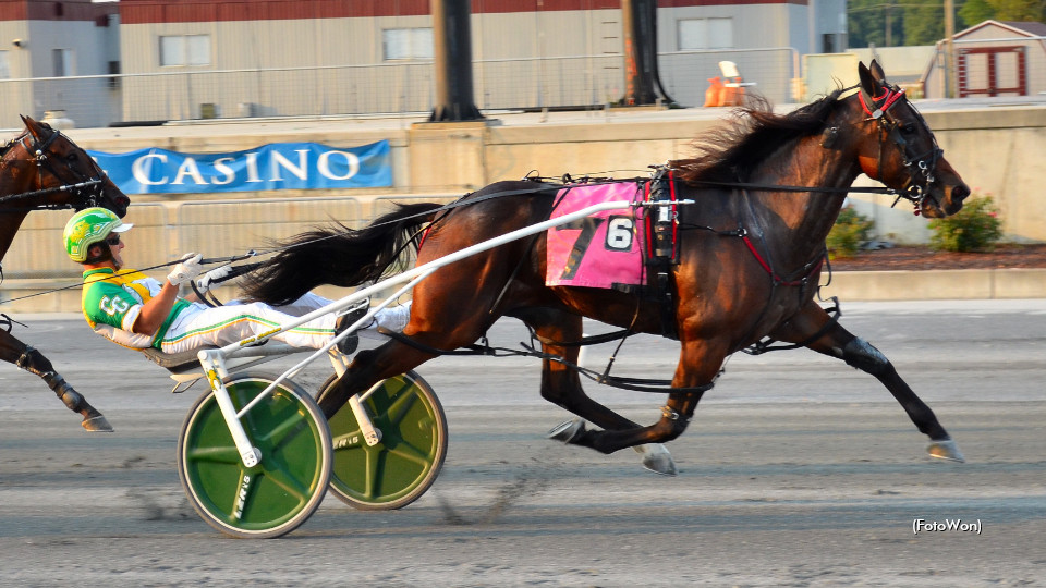 Harrington Set For Season Opener