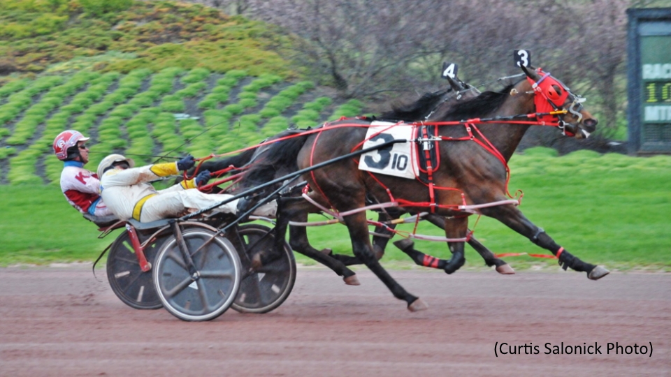 Silent Crossing Perfect In Weiss Again