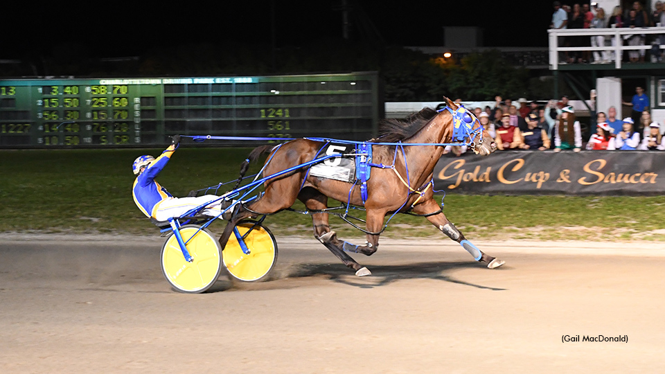 Smooth Lou Stomps In Summerside