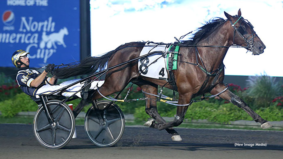 Trot N.A. Cup Spring Book: #3