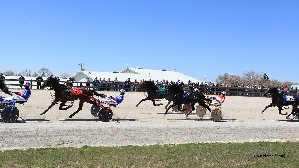 Horses training during TheStable.ca's Spring Open House