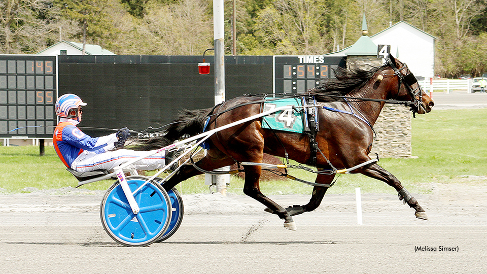Watermelon Sugar Continues Sweet Streak