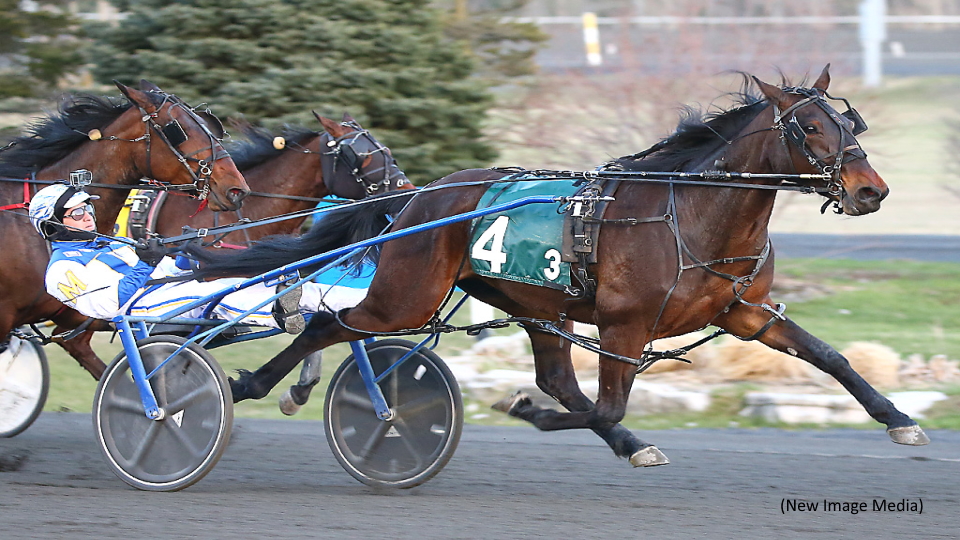 Sophomores Impress In Ontario Sired Spring Series