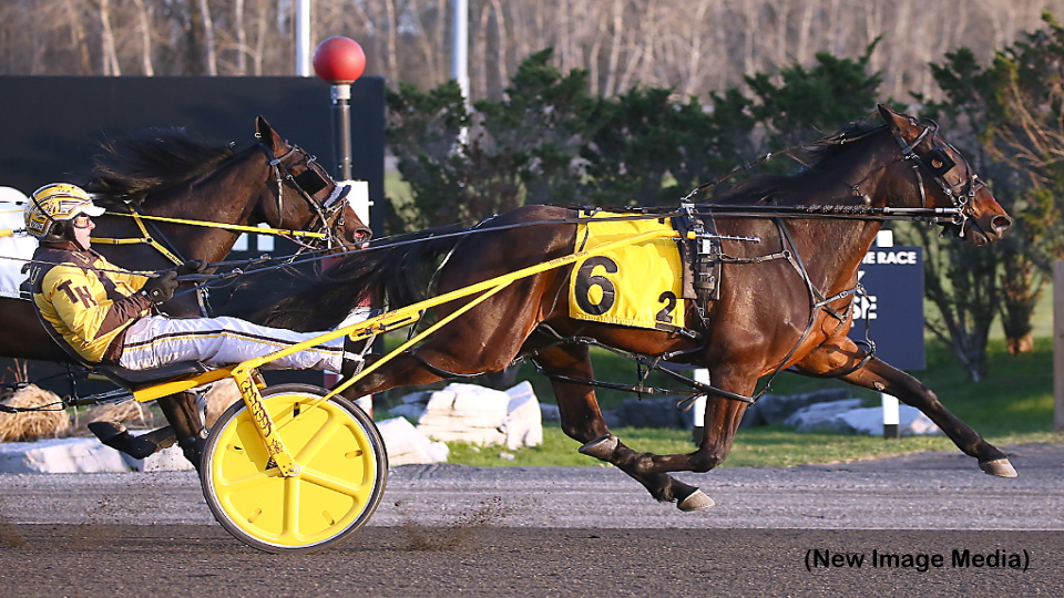 Repeat Winners In Ontario Sired Spring Series Repeat Winners In Ontario Sired Spring Series