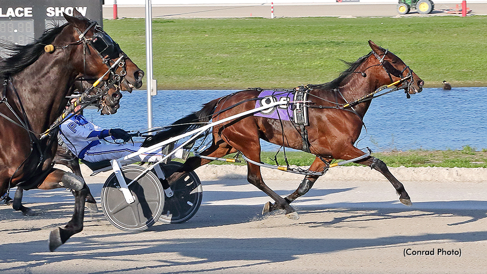 'Cape Cod' Captures Hackett