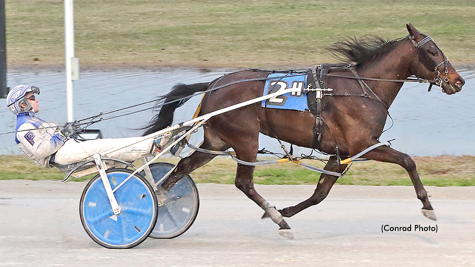 Twenty Take Brown Series Final