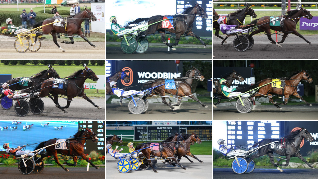 Who Do You Think Will Win The Juravinski Memorial?