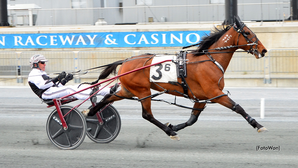 A Delightful Act Strolls At Harrington