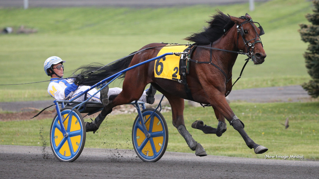 Adare Castle Ready For OSS Return