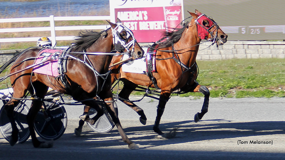 'Adashious' Dashes To Plainridge Win