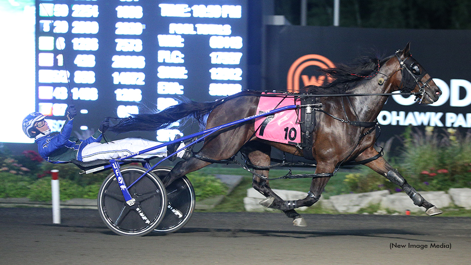 Allywag Hanover Wins First Race Of 2022