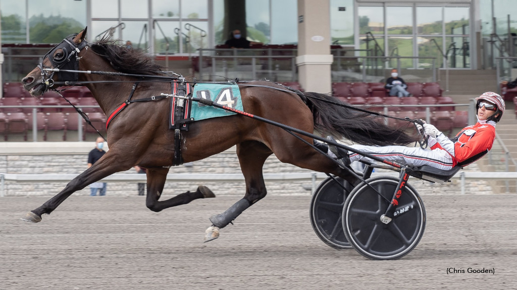 Amigo Volo Returns In Maxie Lee