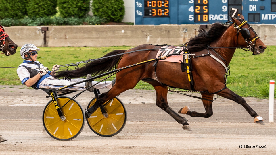 Barn Hall Takes Third Straight Open Trot
