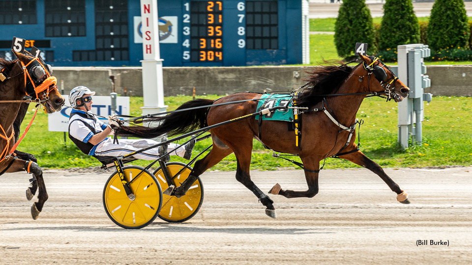 Buffalo Record For Barn Hall