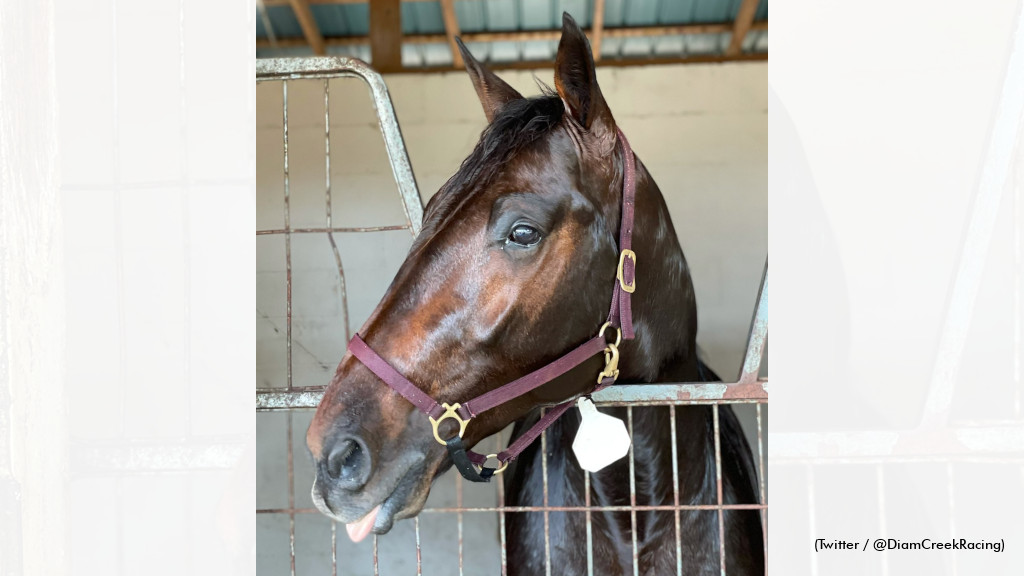 Bayfield Beach Coming To Canada