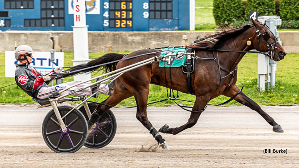 Chapheart In Charge In NYSS