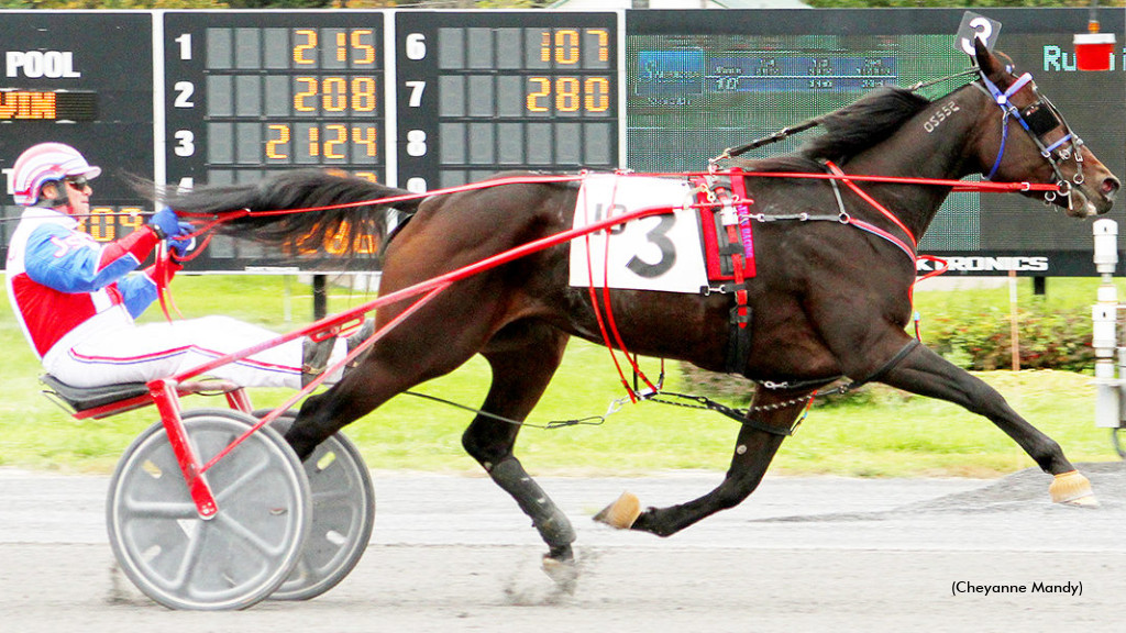 Cindy Michelle Looks To Step Up