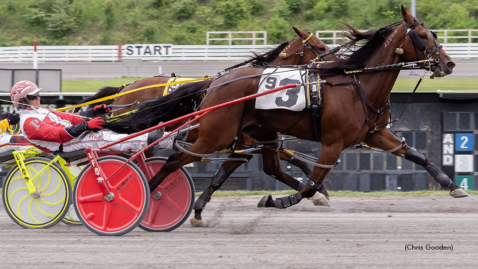 Continualou Bounces Back In Mares Open