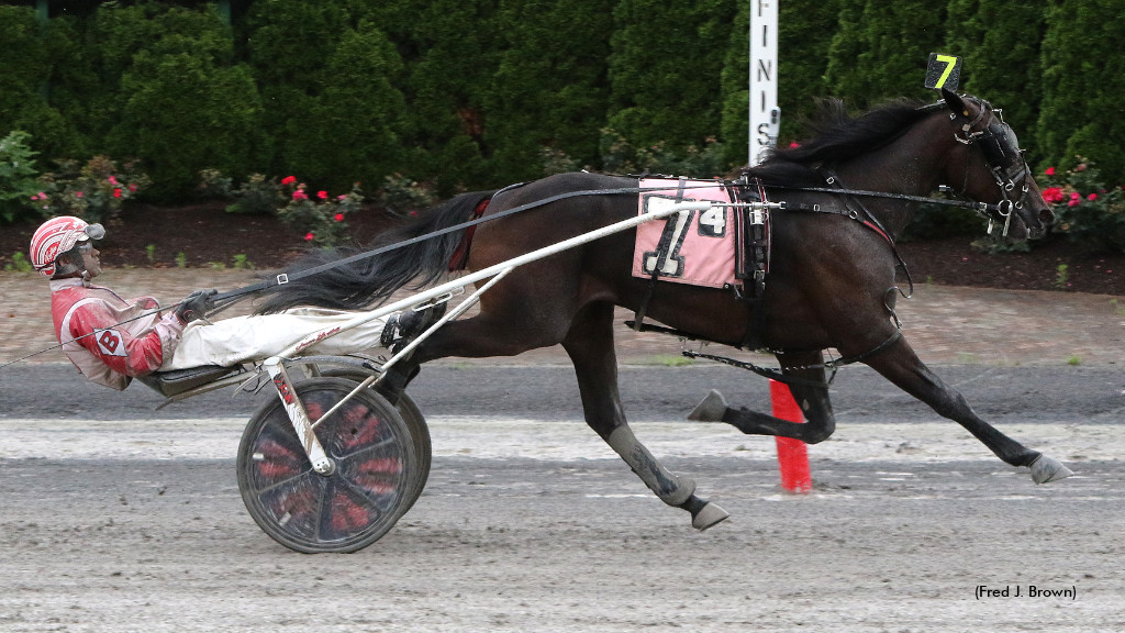 Tioga Hosts NYSS Sunday