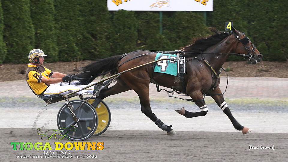 Crossfit Mouse Coasts In Tioga Open