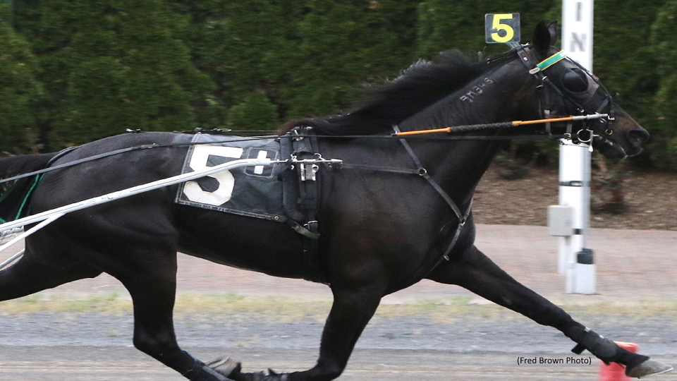 Hennessey With Hot Hands At Tioga
