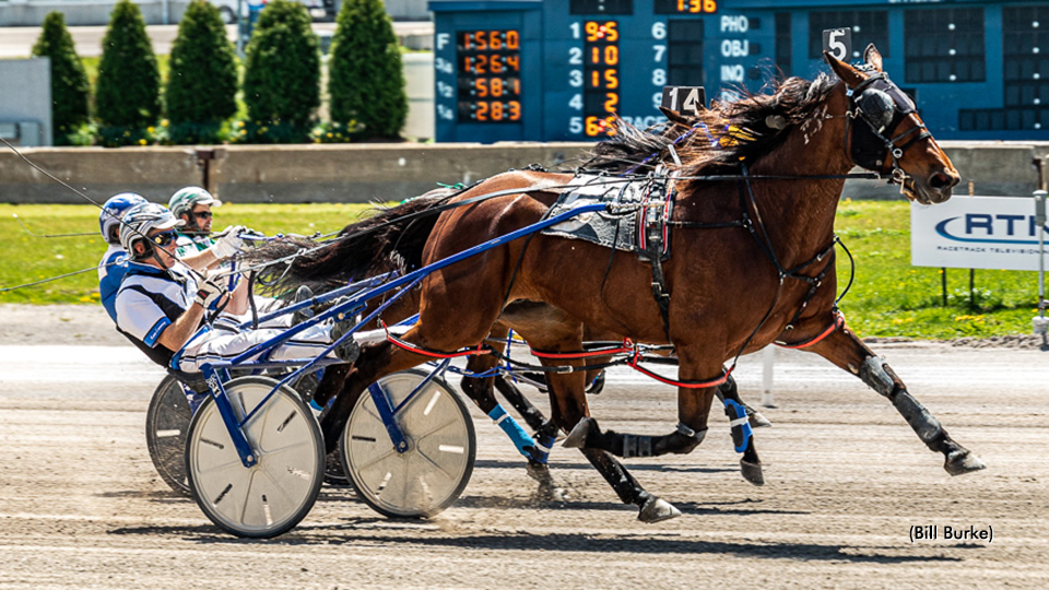 Dontustopbelievn Best Again In Buffalo