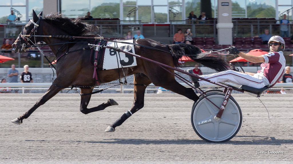 Meadows Track Record Holder Returns