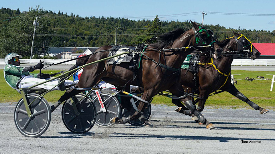Breeders Stakes Headline N.B. Season Opener