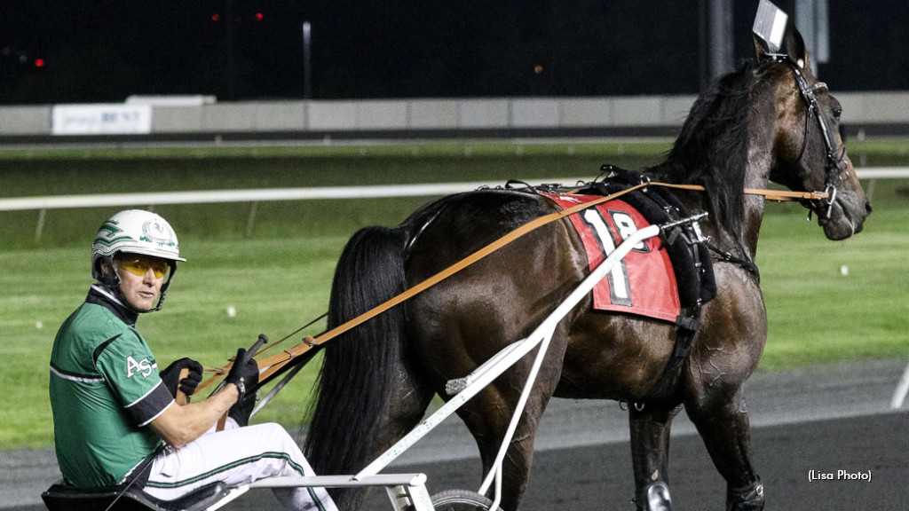 Ecurie D Preps For International Trot In Pocono Qualifier