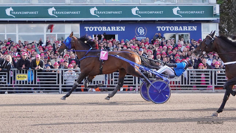 Worlds Collide In MGM Yonkers International Trot