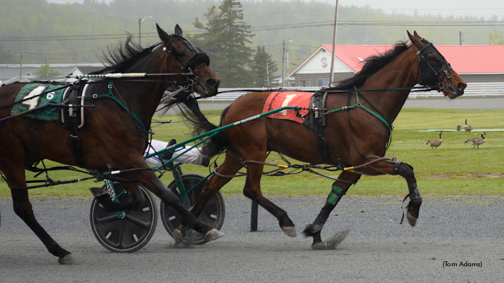 Woodmere Ideal Art Headlines EPR Main Event