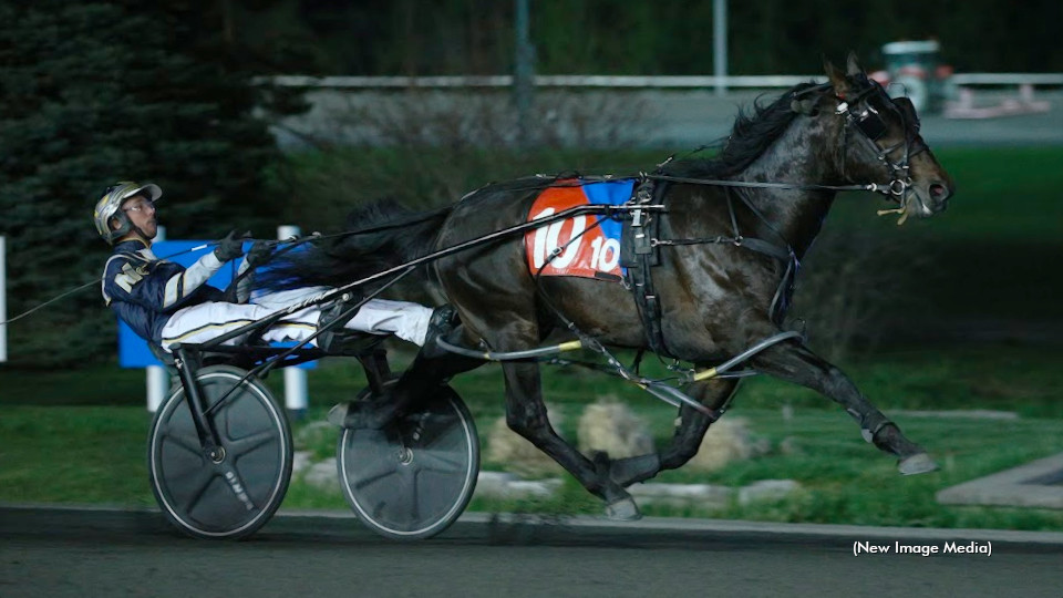 Frozen Hanover Flashy In Mohawk Park Finale