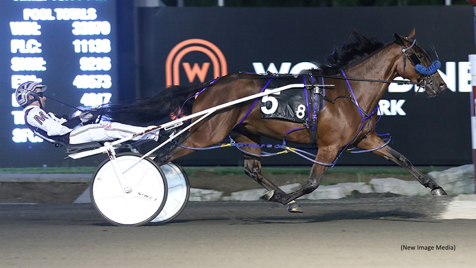 Stock Is Rising On Got The Gold