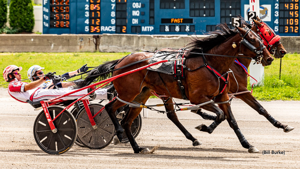 Gotthegreenlight Goes Record Buffalo Mile