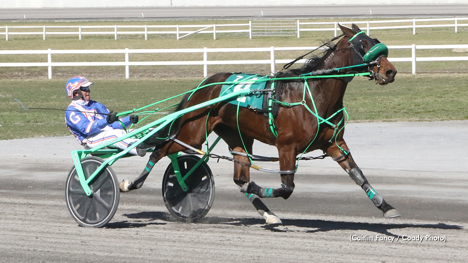 Graceful Horizon Goes Track Record In Sears