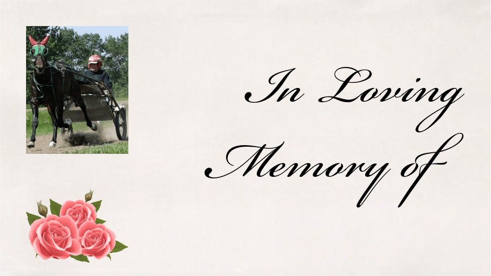 Dick Schneider Passes