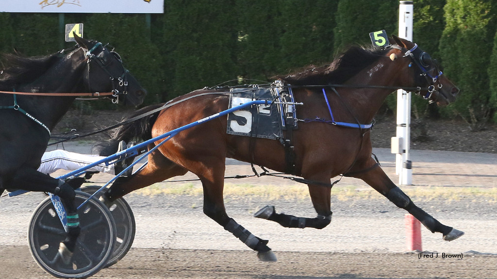 Itsonlymoneyhoney Wins Tioga Open