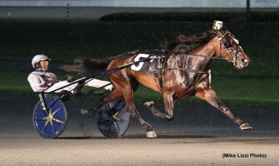 Joviality S Dazzles In New York Sires Stakes