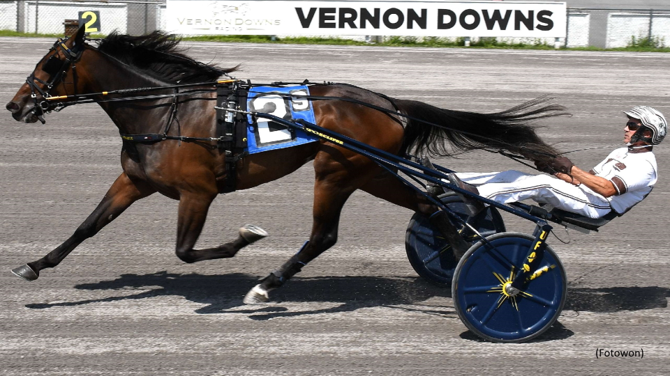 Joviality S Torches Stakes Foes At Vernon 