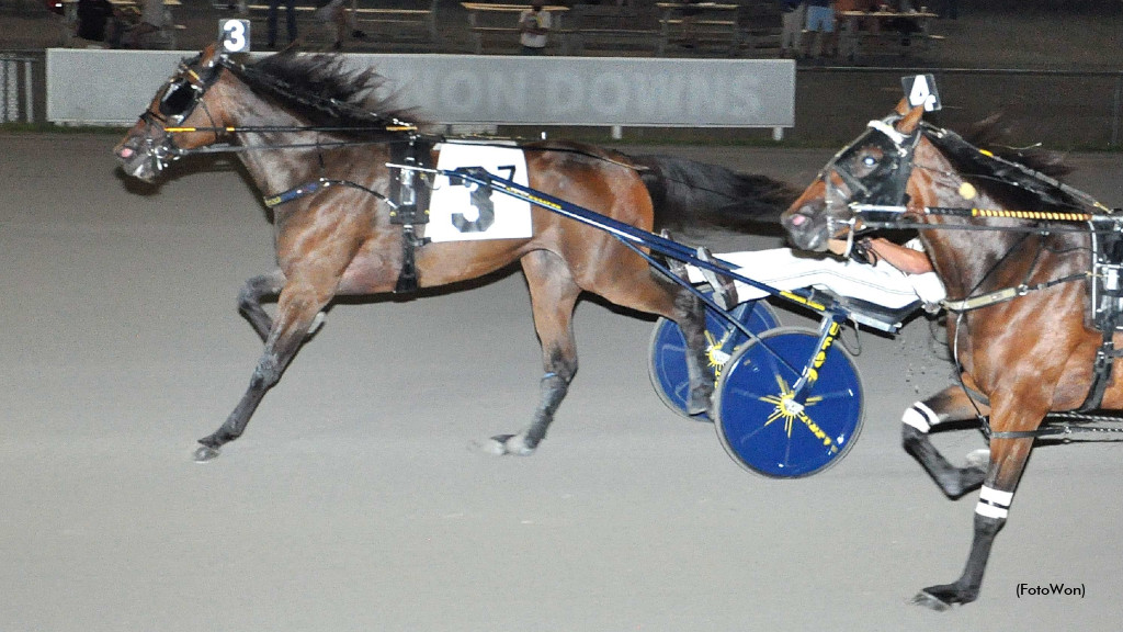 Empire Breeders Classic Draw Details